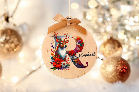 Boule de Noël Lettre décoré Rennes