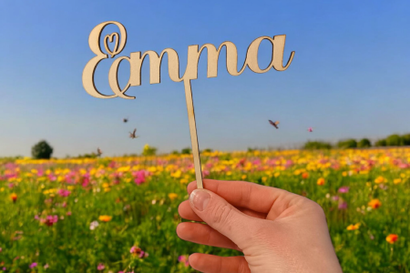 Cake Topper Prénom découpé