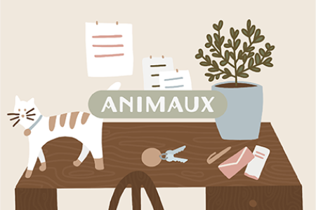 Animaux