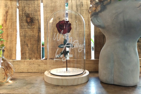 Cloche en Verre Rose Rouge