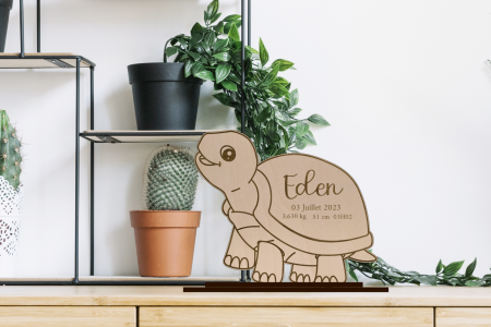 Faire-part Naissance Tortue